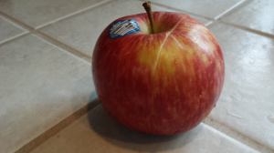 11960325_10153050009825913_2080950678_o