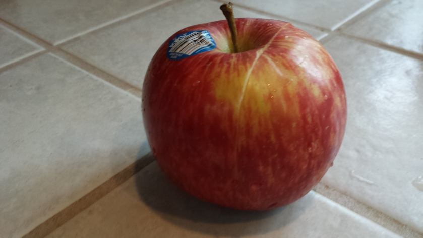 11960325_10153050009825913_2080950678_o