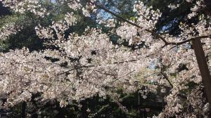 1916301_10153416502085913_2041755681174036437_n